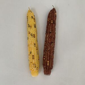 Vintage Corn Cob Candles 50s 60s Yellow Brown Thanksgiving Holiday Harvest Taper